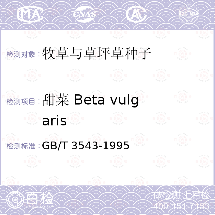 甜菜 Beta vulgaris GB/T 3543-1995  
