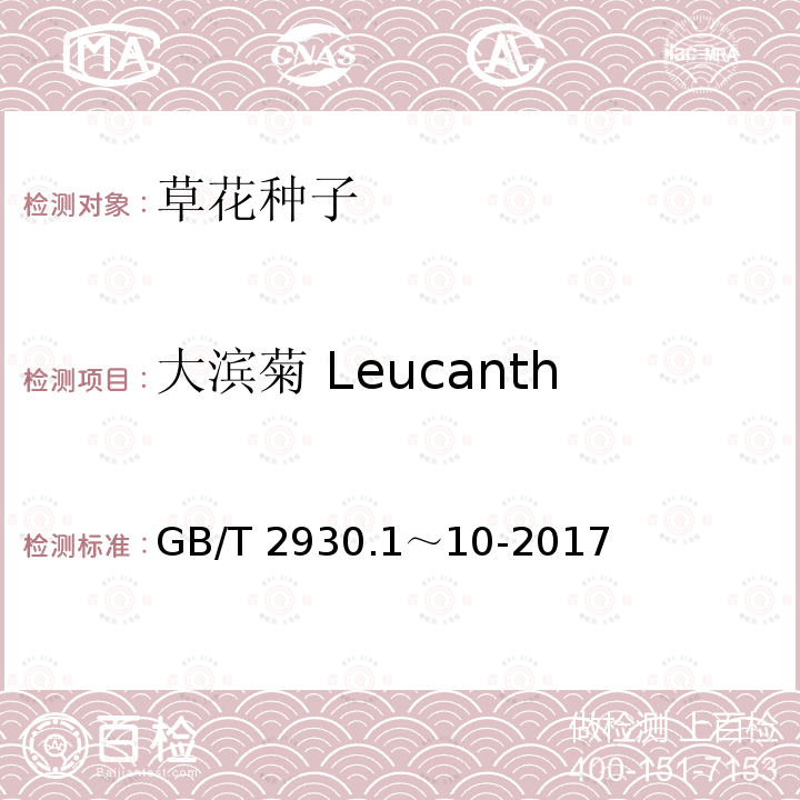 大滨菊 Leucanthemum maximum GB/T 2930.1～10-2017  