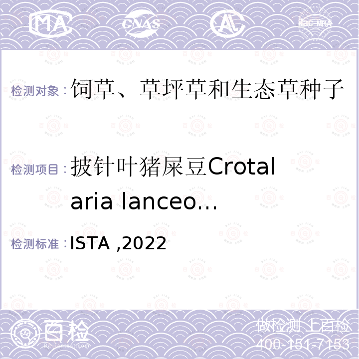 披针叶猪屎豆Crotalaria lanceolata ISTA ,2022  