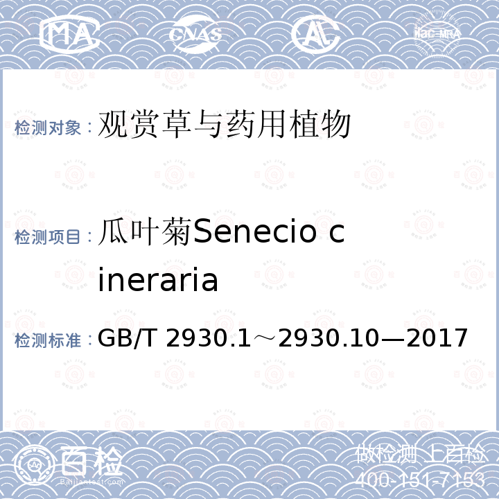 瓜叶菊Senecio cineraria GB/T 2930  .1～2930.10—2017