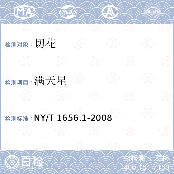 满天星 NY/T 1656.1-2008 花卉检验技术规范 第1部分:基本规则