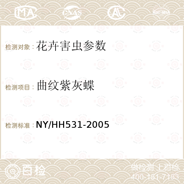曲纹紫灰蝶 HH 531-2005  NY/HH531-2005