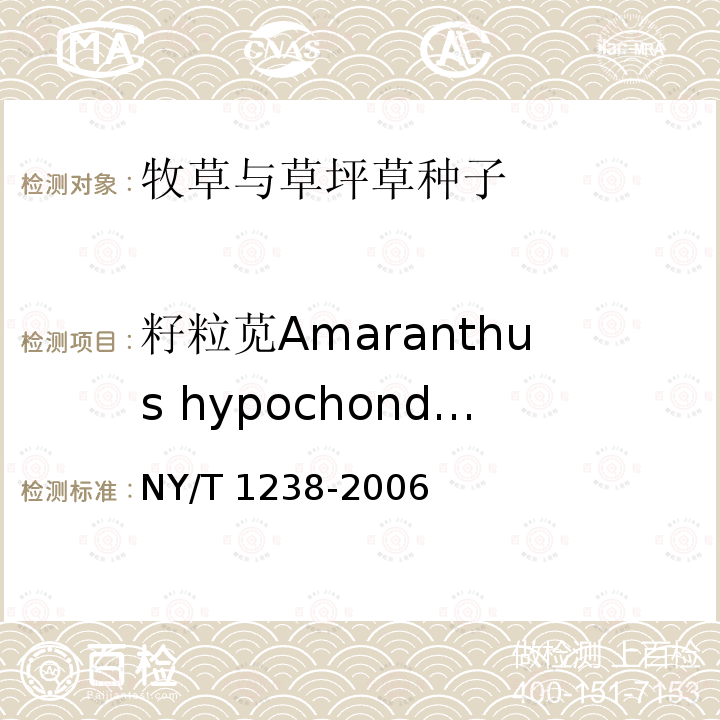 籽粒苋Amaranthus hypochondriacus NY/T 1238-2006 牧草与草坪草种苗评定规程