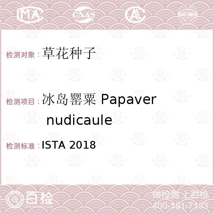 冰岛罂粟 Papaver nudicaule 冰岛罂粟 Papaver nudicaule ISTA 2018