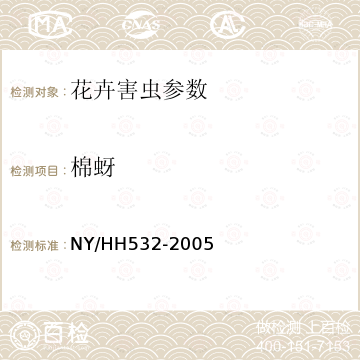 棉蚜 棉蚜 NY/HH532-2005