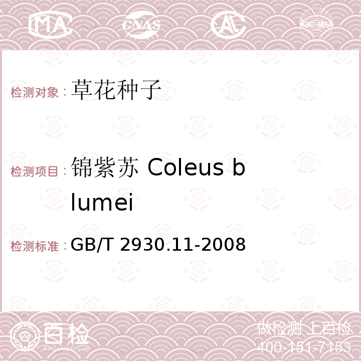 锦紫苏 Coleus blumei GB/T 2930.11-2008 草种子检验规程 检验报告