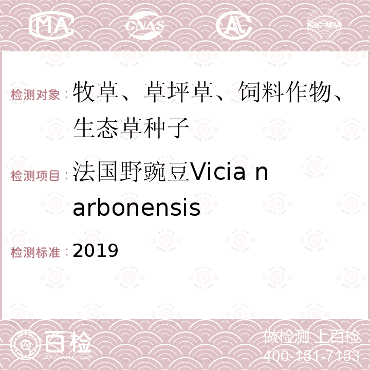 法国野豌豆Vicia narbonensis ENSIS 2019  2019