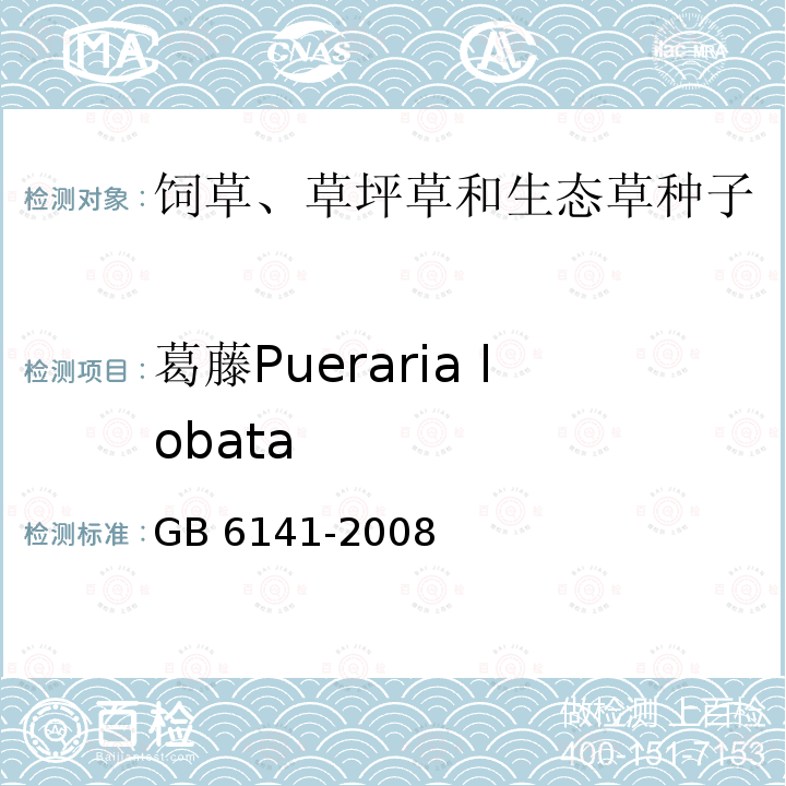 葛藤Pueraria lobata GB 6141-2008 豆科草种子质量分级