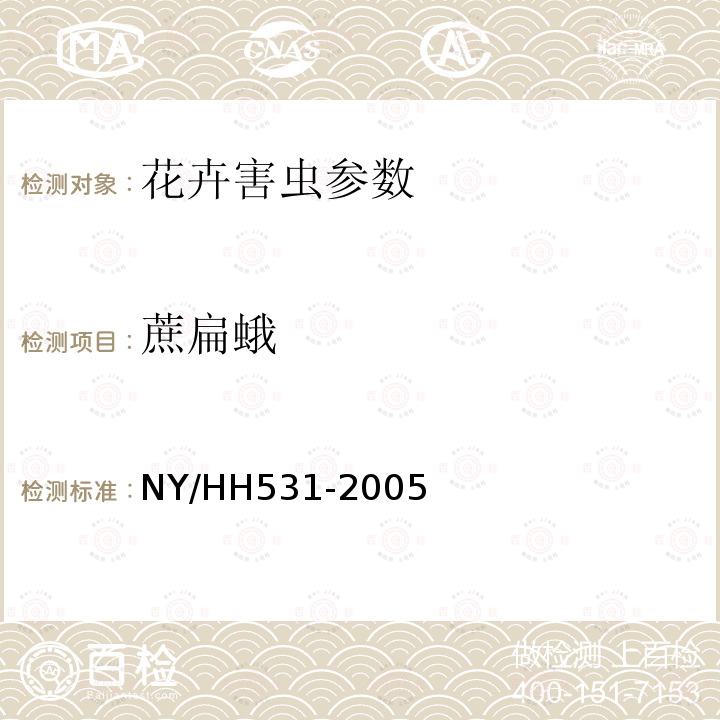 蔗扁蛾 HH 531-2005  NY/HH531-2005