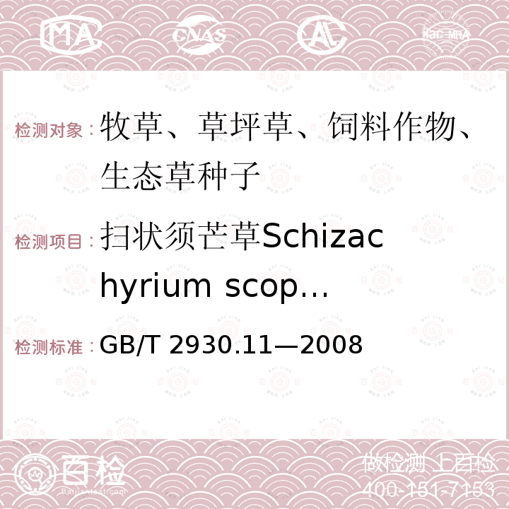扫状须芒草Schizachyrium scoparium GB/T 2930.11-2008 草种子检验规程 检验报告