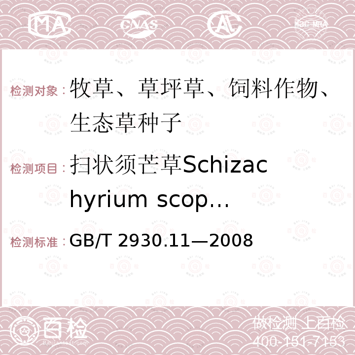 扫状须芒草Schizachyrium scoparium 扫状须芒草Schizachyrium scoparium GB/T 2930.11—2008