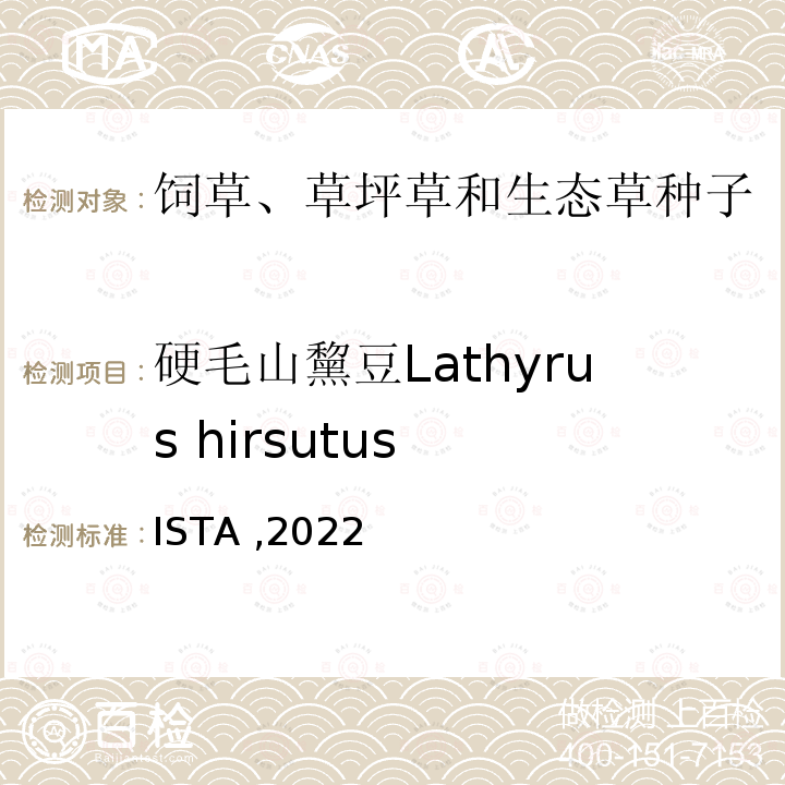 硬毛山黧豆Lathyrus hirsutus 硬毛山黧豆Lathyrus hirsutus ISTA ,2022