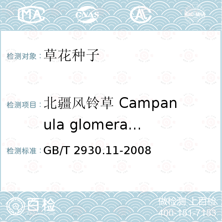 北疆风铃草 Campanula glomerata GB/T 2930.11-2008 草种子检验规程 检验报告