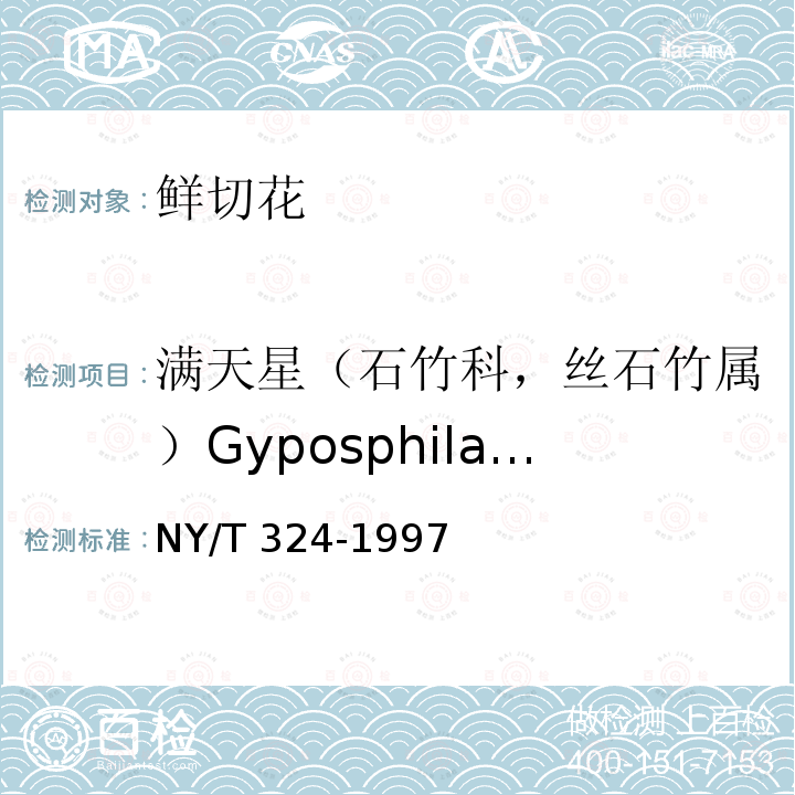 满天星（石竹科，丝石竹属）Gyposphila elegans NY/T 324-1997 满天星切花