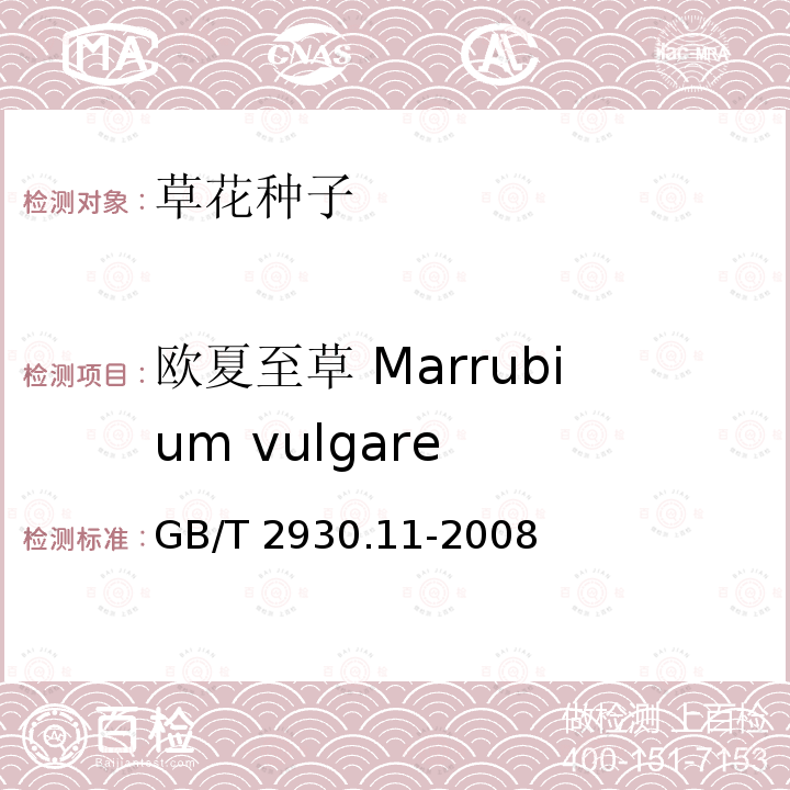 欧夏至草 Marrubium vulgare GB/T 2930.11-2008 草种子检验规程 检验报告