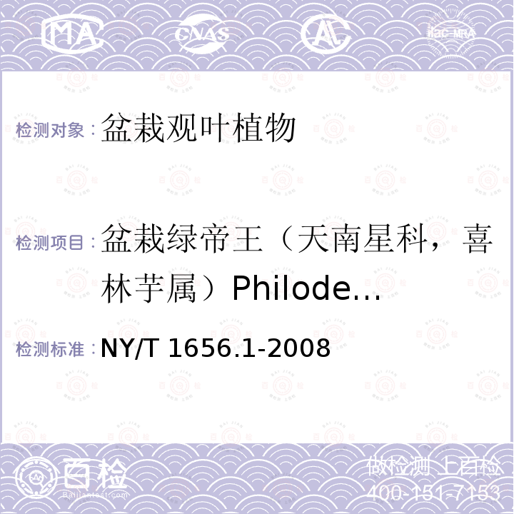 盆栽绿帝王（天南星科，喜林芋属）Philodendron wendlandii NY/T 1656.1-2008 花卉检验技术规范 第1部分:基本规则