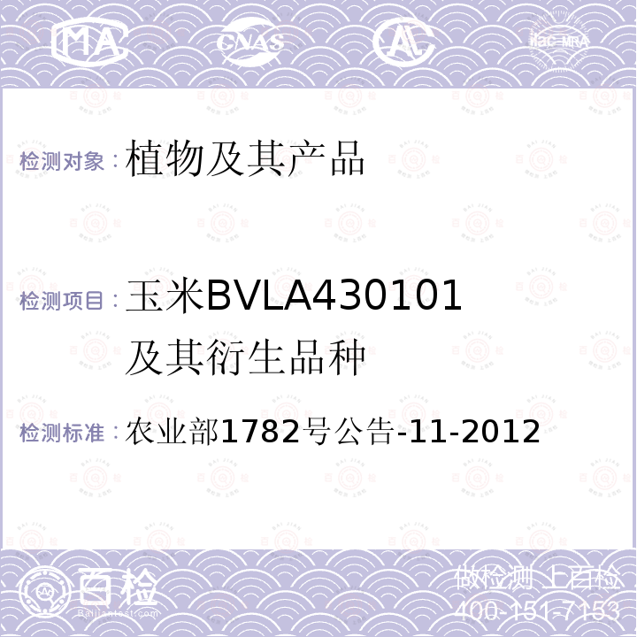 玉米BVLA430101及其衍生品种 玉米BVLA430101及其衍生品种 农业部1782号公告-11-2012