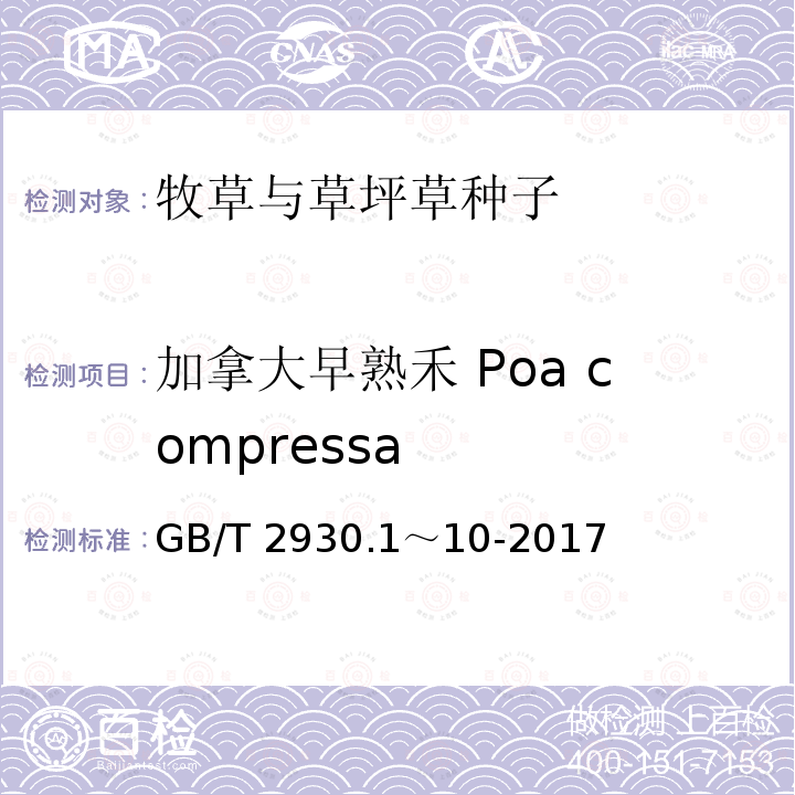 加拿大早熟禾 Poa compressa GB/T 2930.1～10-2017  