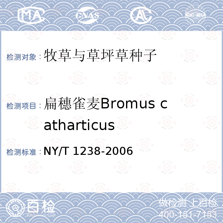 扁穗雀麦Bromus catharticus 扁穗雀麦Bromus catharticus NY/T 1238-2006
