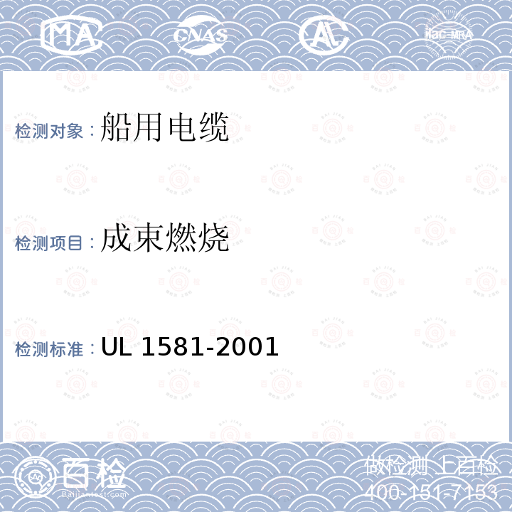 成束燃烧 UL 1581  -2001