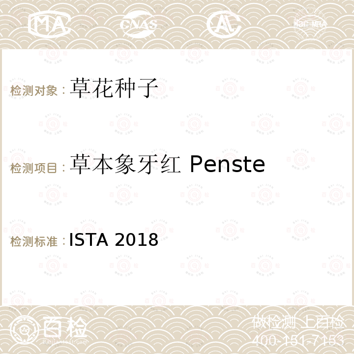 草本象牙红 Penstemon barbatus ISTA 2018  