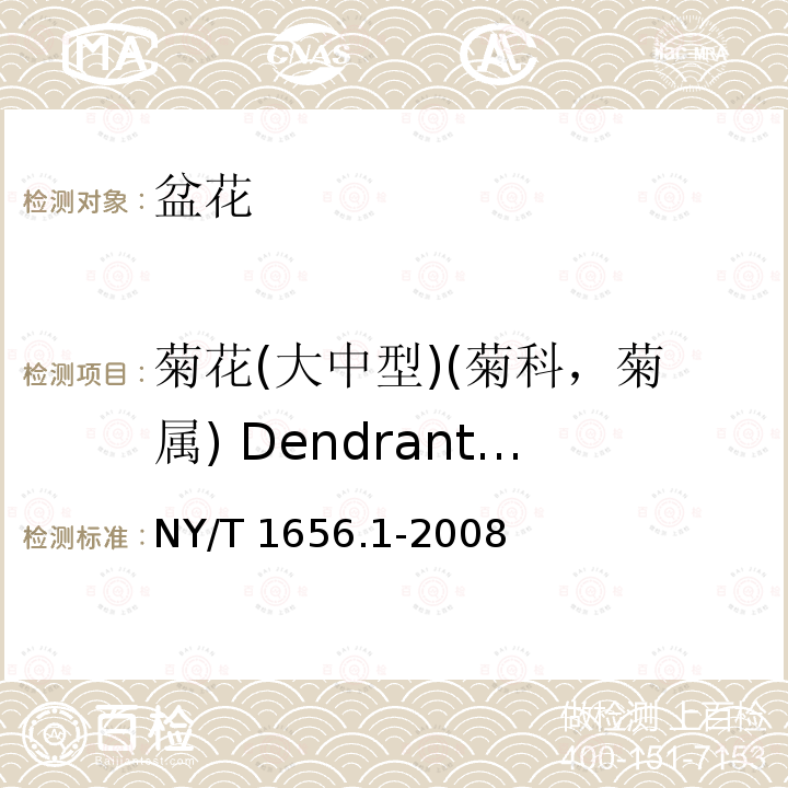 菊花(大中型)(菊科，菊属) Dendranthema  grandifloram 菊花(大中型)(菊科，菊属) Dendranthema  grandifloram NY/T 1656.1-2008