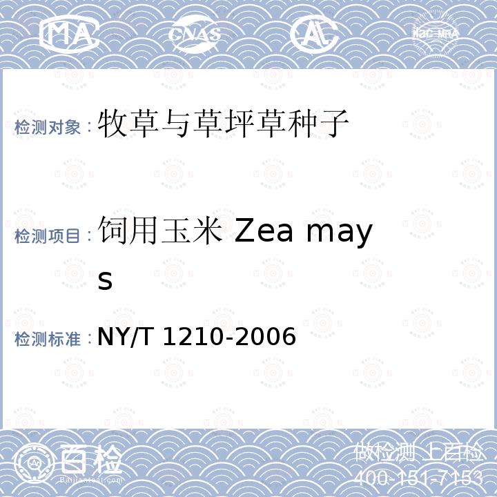 饲用玉米 Zea mays NY/T 1210-2006 牧草与草坪草种子认证规程