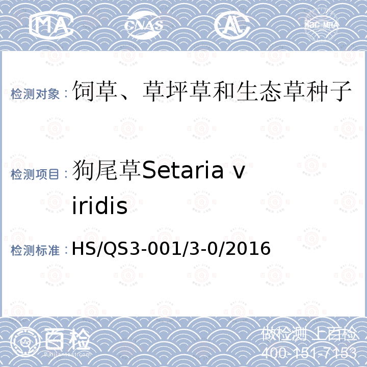 狗尾草Setaria viridis HS/QS3-001/3-0/2016  