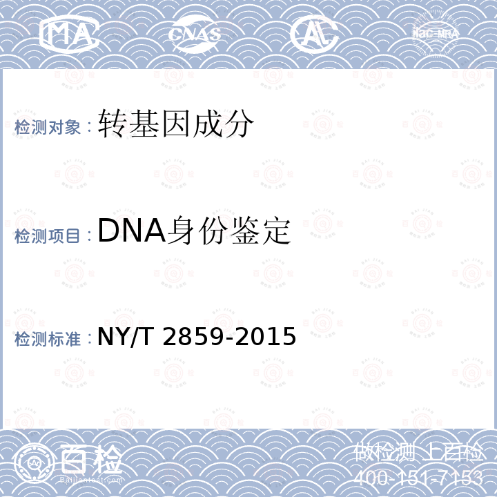 DNA身份鉴定 NY/T 2859-2015 主要农作物品种真实性SSR分子标记检测 普通小麦