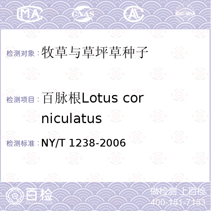 百脉根Lotus corniculatus 百脉根Lotus corniculatus NY/T 1238-2006