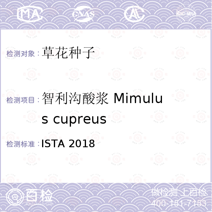 智利沟酸浆 Mimulus cupreus ISTA 2018  