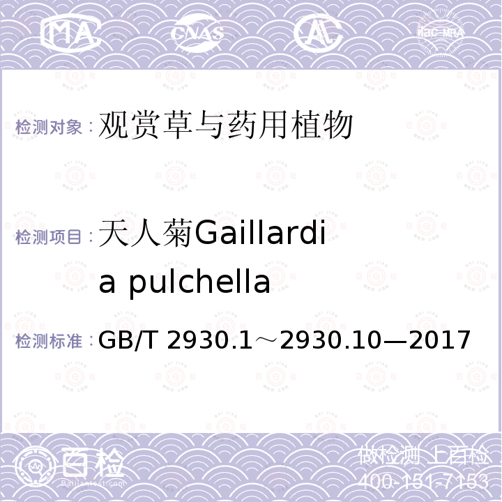 天人菊Gaillardia pulchella GB/T 2930  .1～2930.10—2017