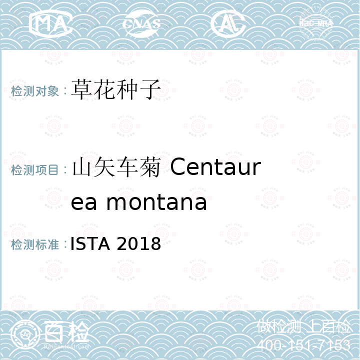 山矢车菊 Centaurea montana ISTA 2018  