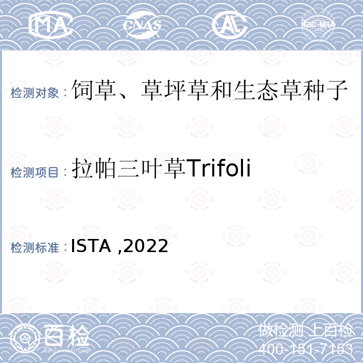 拉帕三叶草Trifolium lappaceum ISTA ,2022  