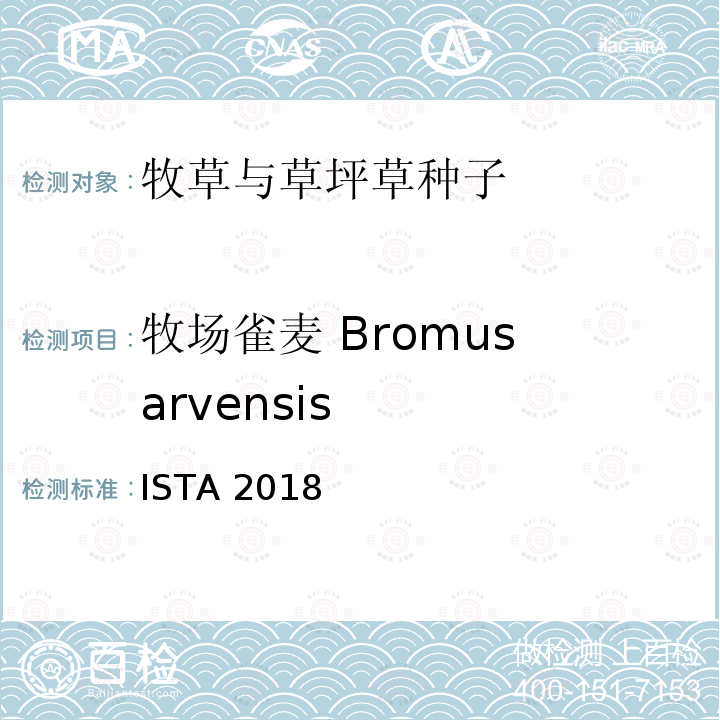 牧场雀麦 Bromus arvensis ISTA 2018  