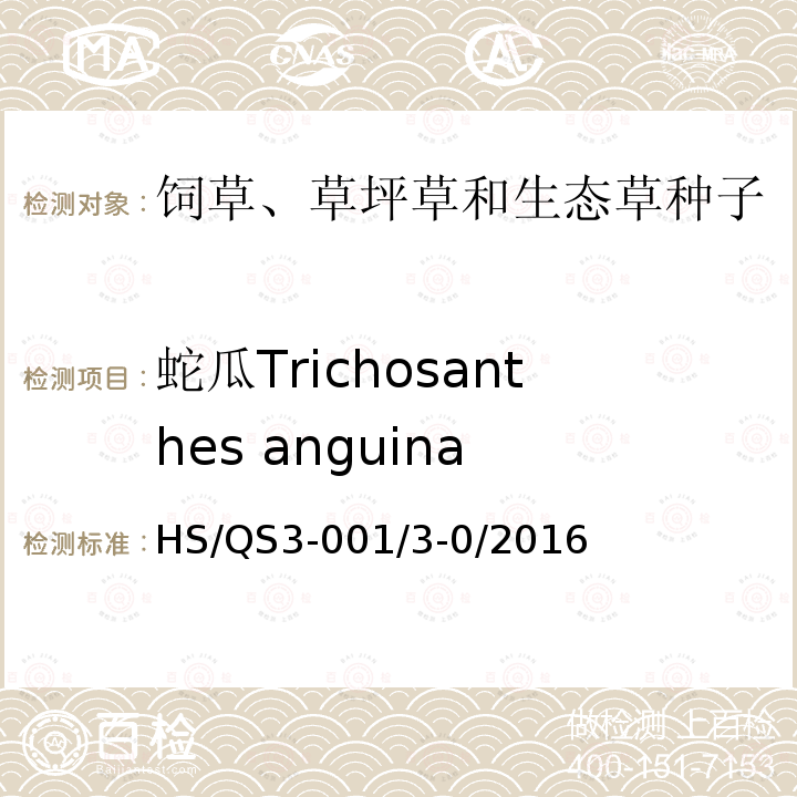 蛇瓜Trichosanthes anguina HS/QS3-001/3-0/2016  