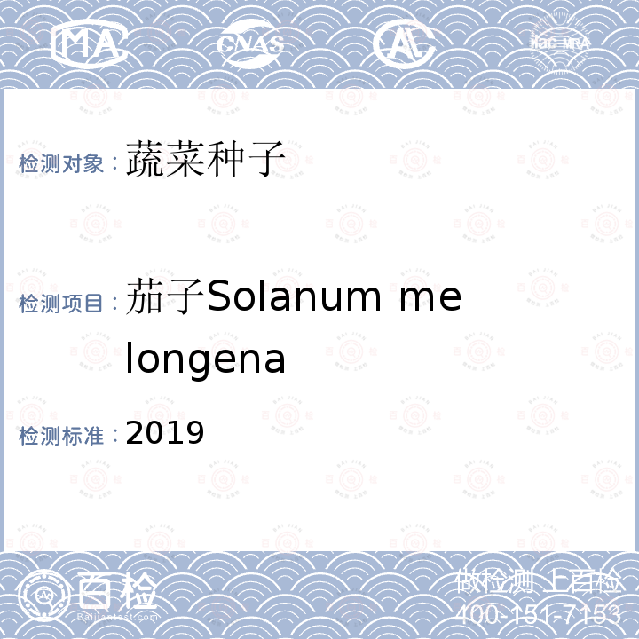 茄子Solanum melongena 2019  