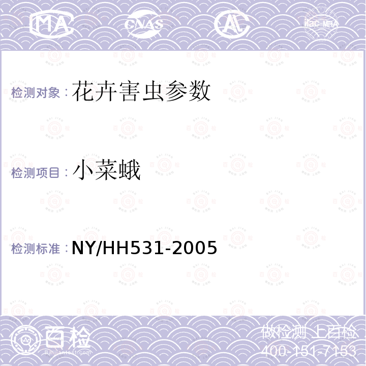 小菜蛾 HH 531-2005  NY/HH531-2005