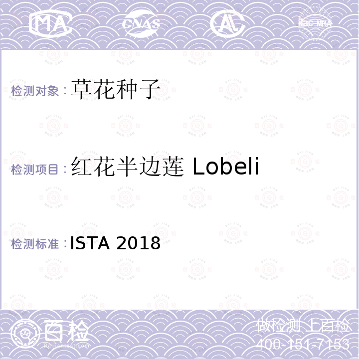 红花半边莲 Lobelia cardinalis ISTA 2018  