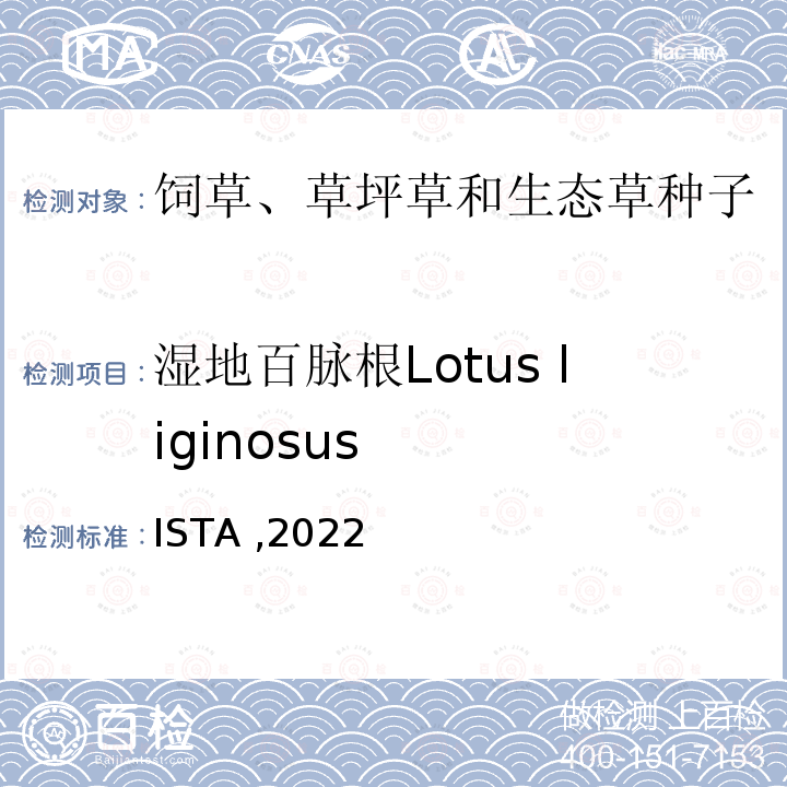 湿地百脉根Lotus liginosus 湿地百脉根Lotus liginosus ISTA ,2022