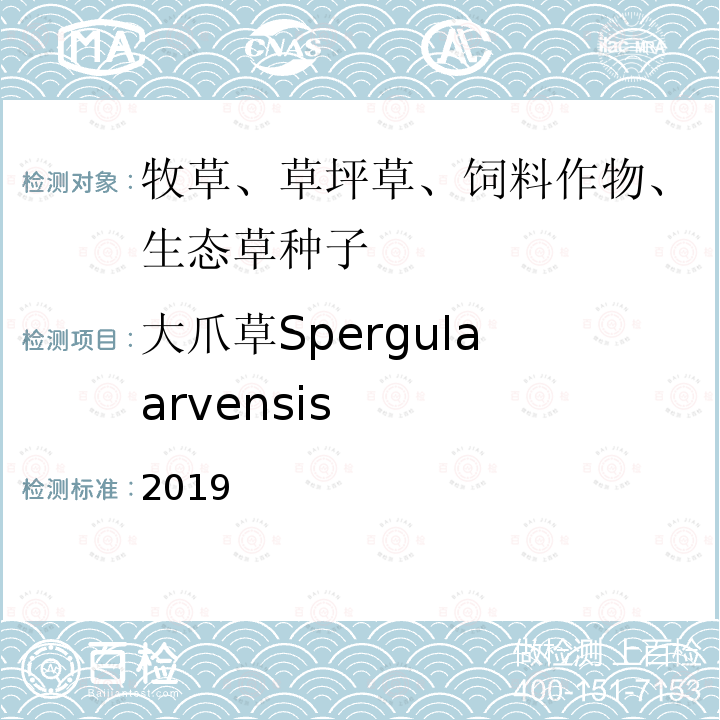 大爪草Spergula arvensis ENSIS 2019  2019