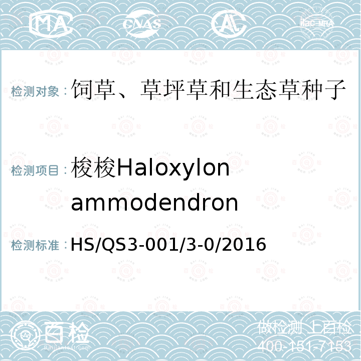 梭梭Haloxylon ammodendron HS/QS3-001/3-0/2016  