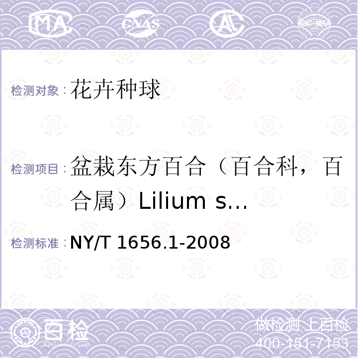 盆栽东方百合（百合科，百合属）Lilium spp.(Oriental hybrids pot) NY/T 1656.1-2008 花卉检验技术规范 第1部分:基本规则