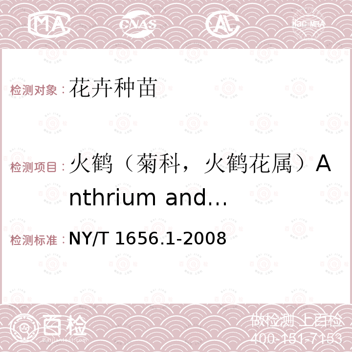 火鹤（菊科，火鹤花属）Anthrium andraeanum Lind. NY/T 1656.1-2008 花卉检验技术规范 第1部分:基本规则