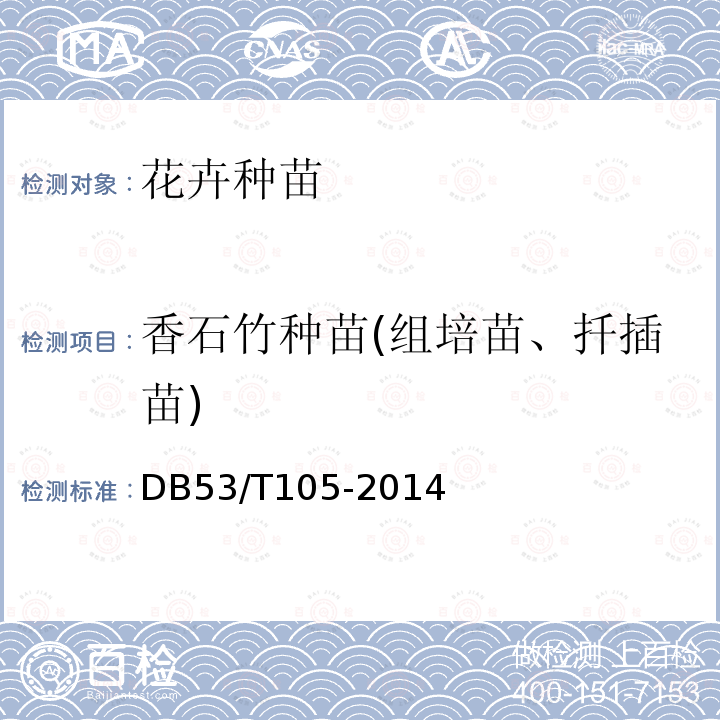 香石竹种苗(组培苗、扦插苗) DB53/T 105-2014 主要鲜切花种苗和种球产品等级