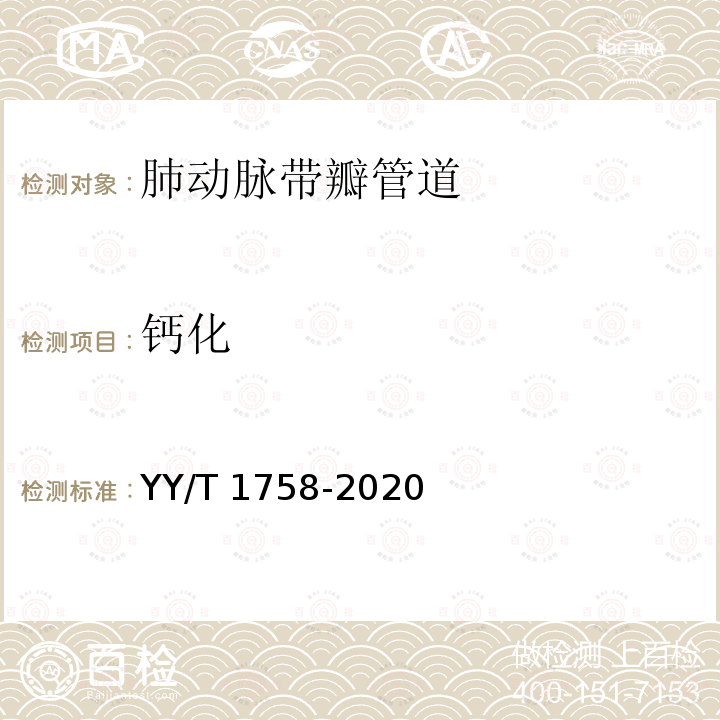 钙化 YY/T 1758-2020 心血管植入物 肺动脉带瓣管道