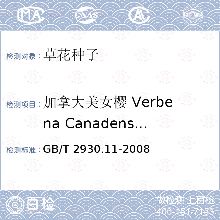 加拿大美女樱 Verbena Canadensis GB/T 2930.11-2008 草种子检验规程 检验报告