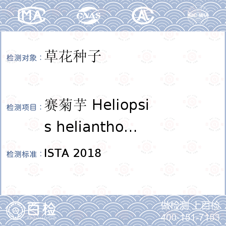 赛菊芋 Heliopsis helianthoides ISTA 2018  