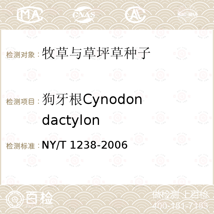 狗牙根Cynodon  dactylon 狗牙根Cynodon  dactylon NY/T 1238-2006