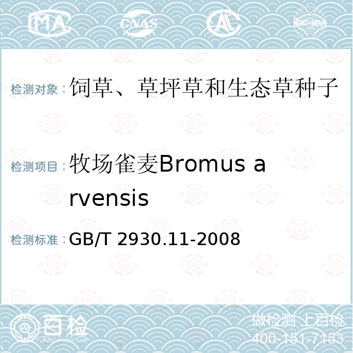 牧场雀麦Bromus arvensis 牧场雀麦Bromus arvensis GB/T 2930.11-2008